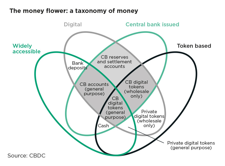 How COVID19 is driving central bank currency innovation The